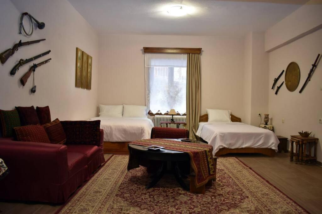 Eufrosini Guesthouse Metsovo Bagian luar foto