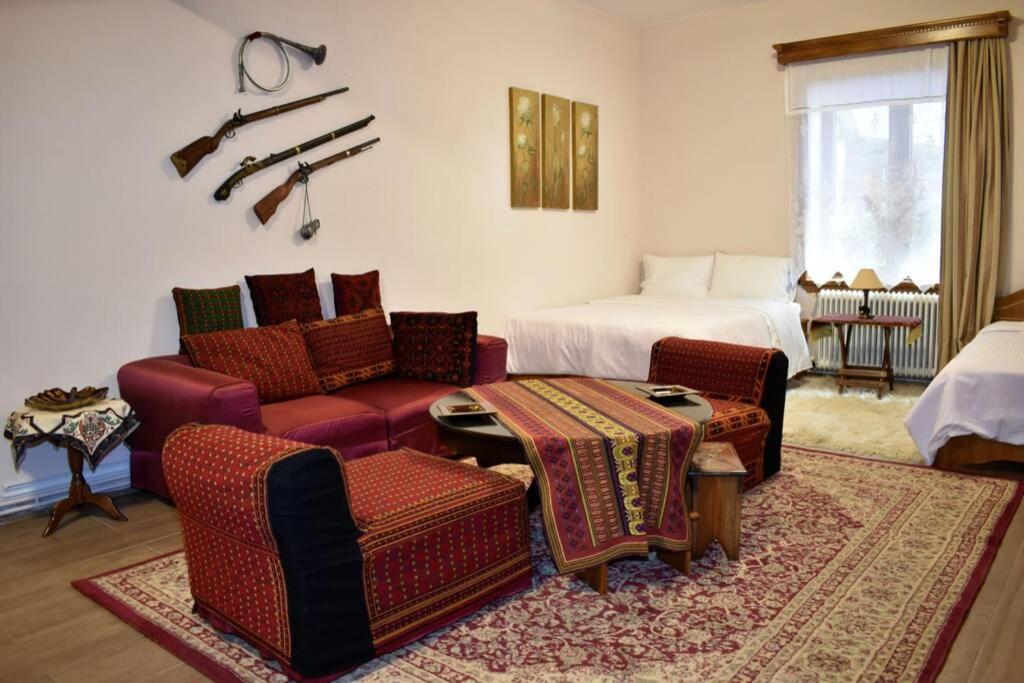 Eufrosini Guesthouse Metsovo Bagian luar foto
