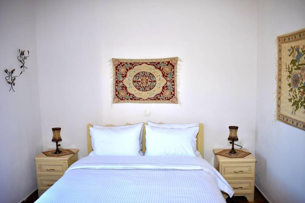 Eufrosini Guesthouse Metsovo Bagian luar foto