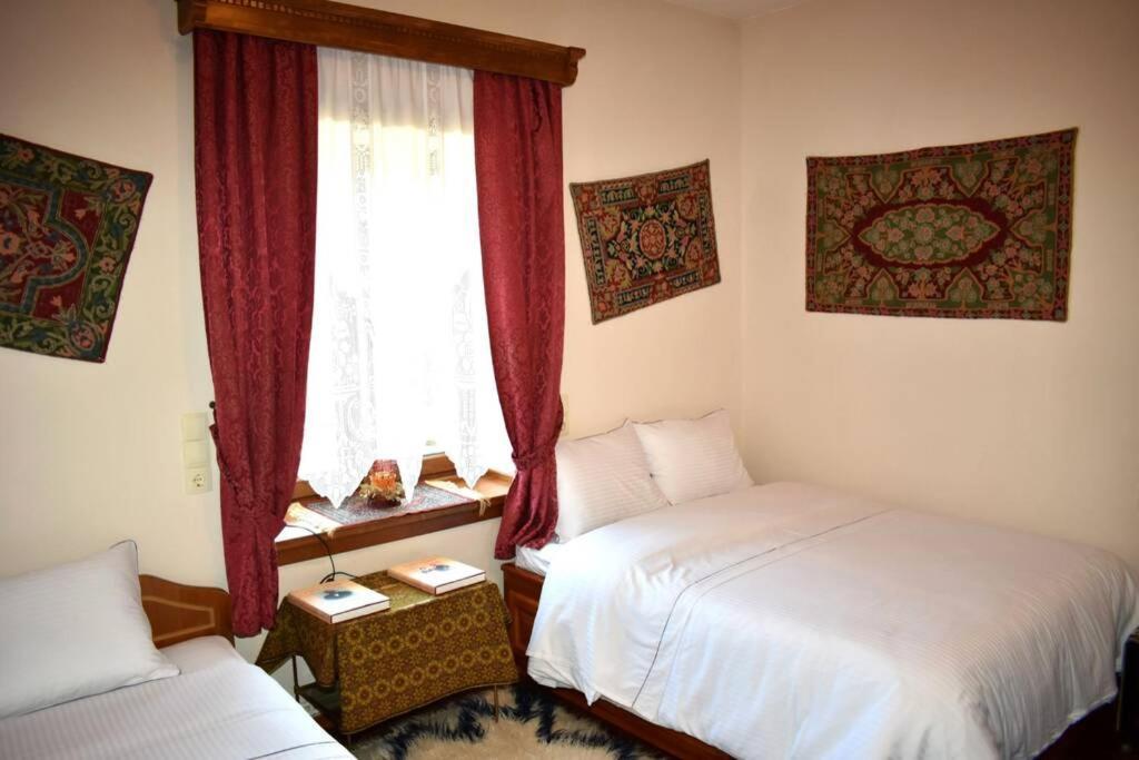 Eufrosini Guesthouse Metsovo Bagian luar foto