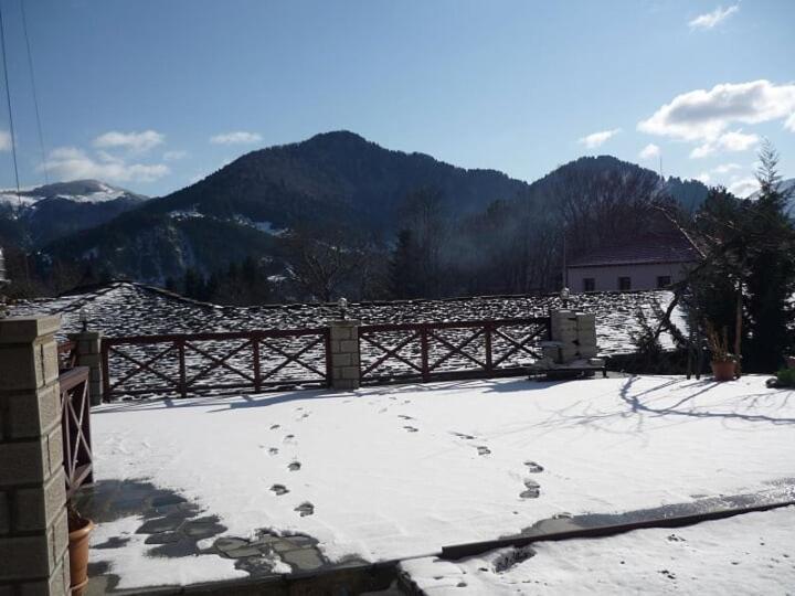 Eufrosini Guesthouse Metsovo Bagian luar foto